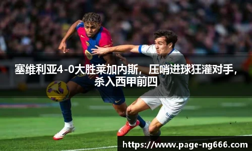 南宫NG28