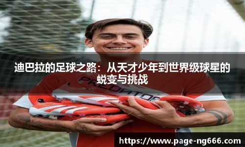 南宫NG28