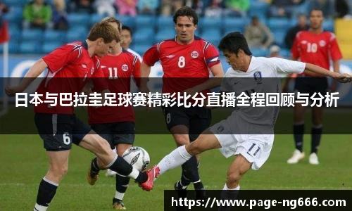 南宫NG28