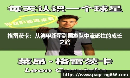 南宫NG28